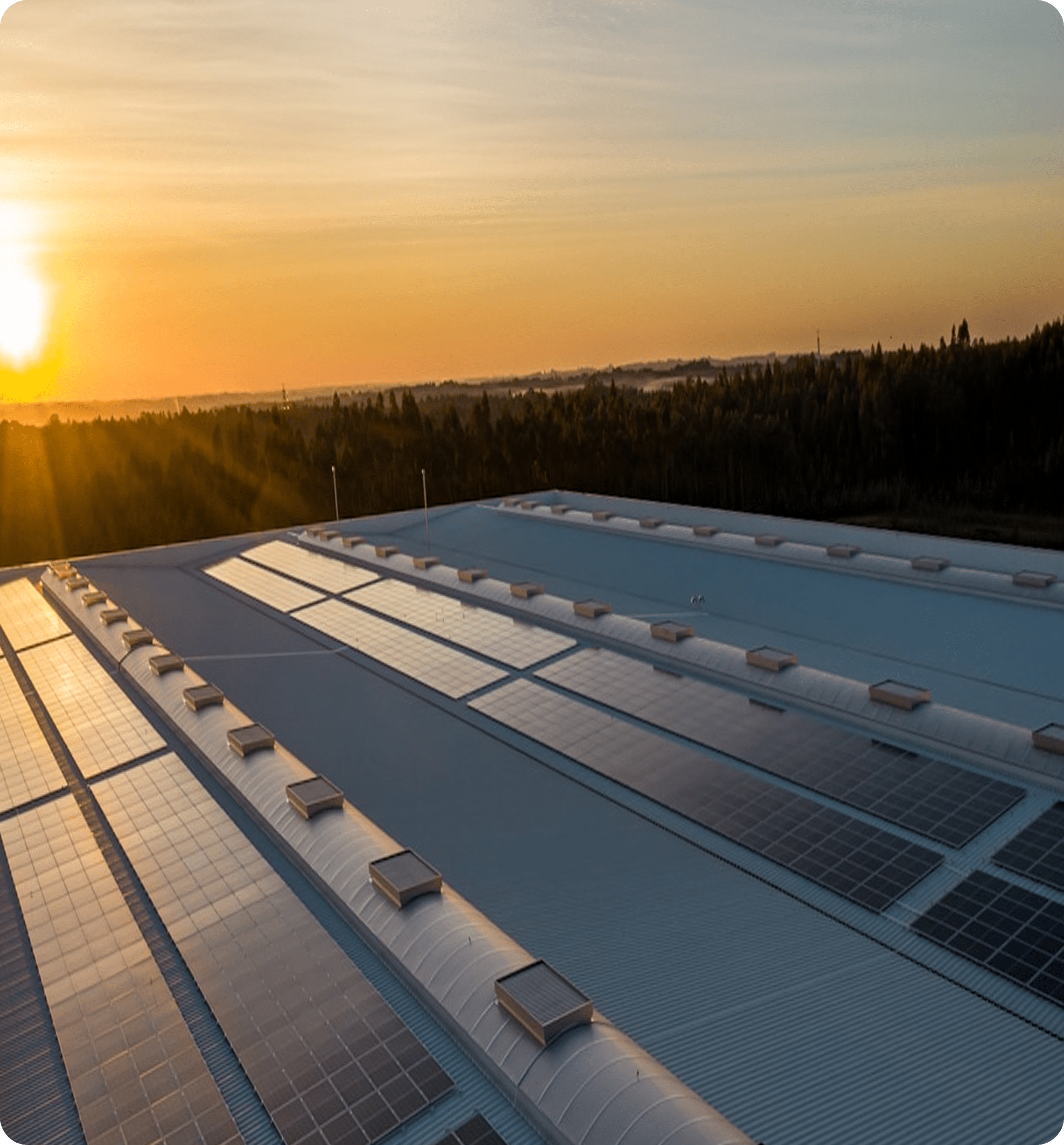 Solarpaneele auf einem großen Industriedach während eines Sonnenuntergangs – Photovoltaikanlage