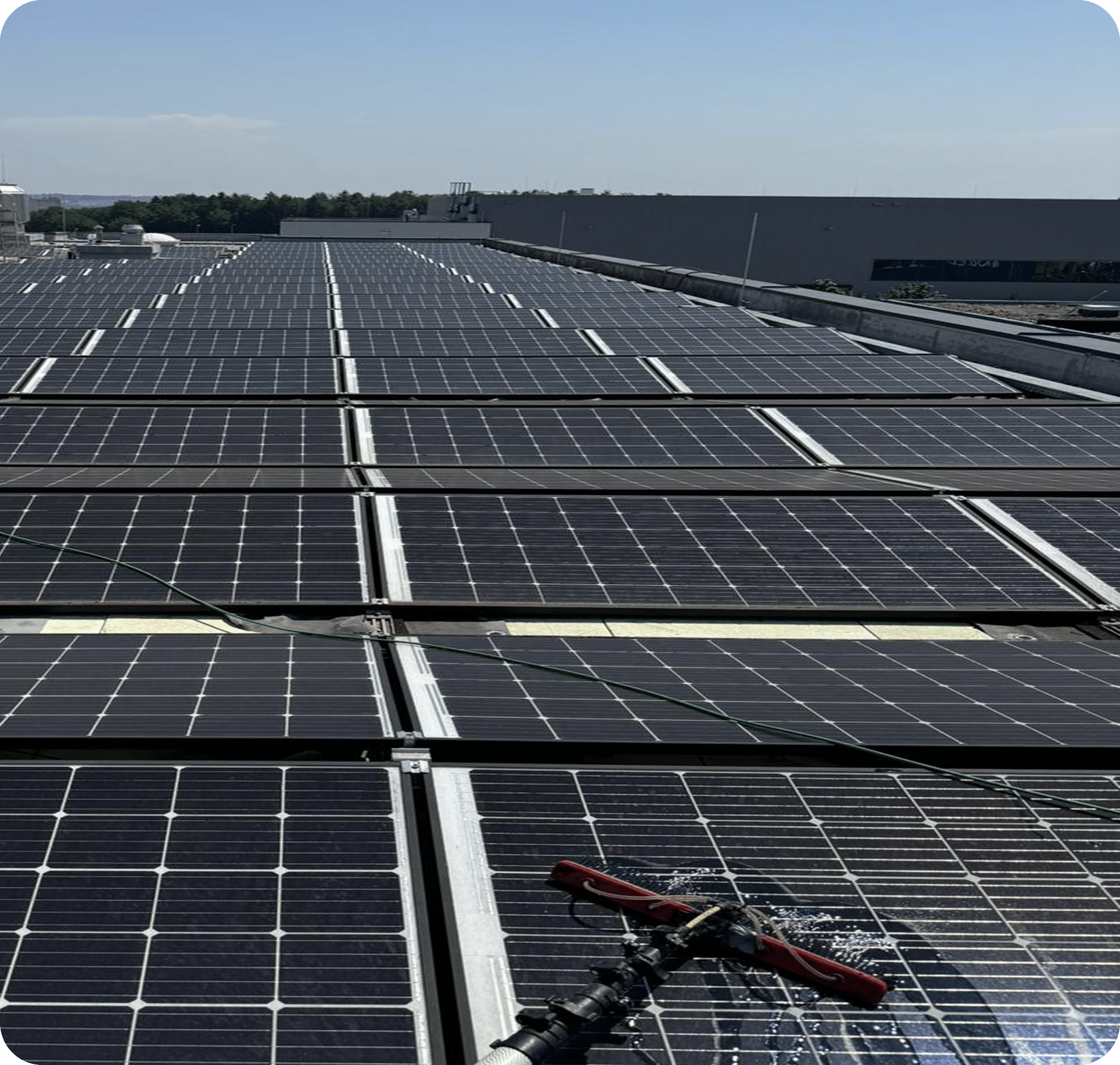 Reihen von Solarmodulen auf einem Flachdach mit Reinigungsbürste und Teleskopstange zur Photovoltaikreinigung
