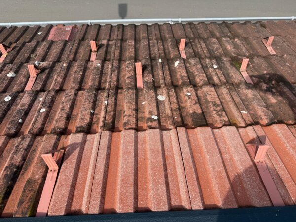 Fassadenreinigungsmittel - Q Clean Fassade – Bild 7